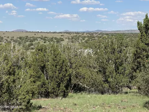 14556 Howard Mesa Loop, Williams, AZ 86046 photo 6