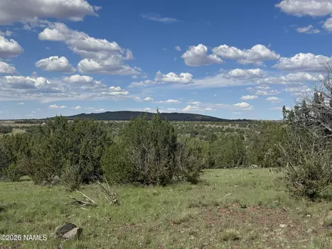 14556 Howard Mesa Loop, Williams, AZ 86046 photo 11