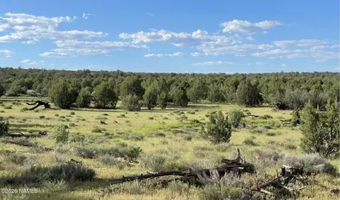 886 SW Ranch Rd, Williams, AZ 86046 photo 3