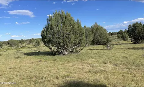 886 SW Ranch Rd, Williams, AZ 86046 photo 7