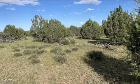 886 SW Ranch Rd, Williams, AZ 86046 photo 8