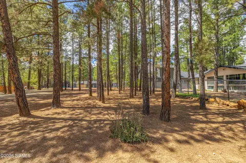 000 E Seminole Dr, Flagstaff, AZ 86004 photo 5