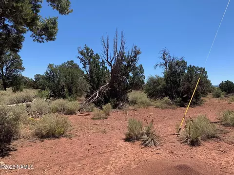 131 Walnut Rd, Williams, AZ 86046 photo 5