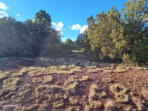 1473 E Barbara Rd, Williams, AZ 86046 photo 3