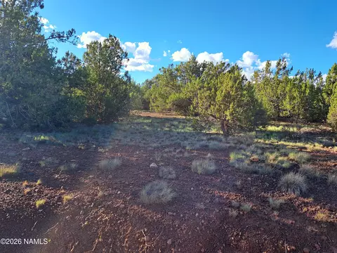1473 E Barbara Rd, Williams, AZ 86046 photo 2