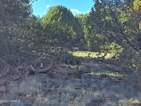 1473 E Barbara Rd, Williams, AZ 86046 photo 4