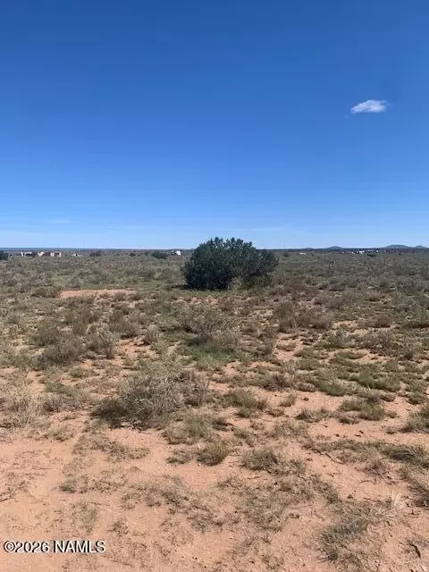 103 W Central St, Williams, AZ 86046 photo 6