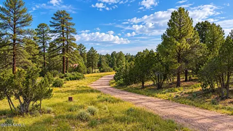 Other - 1895 Aspen Ln, Heber-overgaard, AZ 85298 photo 6 of 14