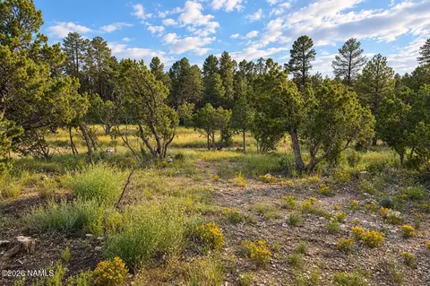 Other - 1895 Aspen Ln, Heber-overgaard, AZ 85298 photo 12 of 14