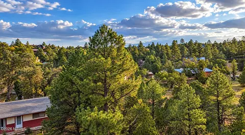View/Area - 1895 Aspen Ln, Heber-overgaard, AZ 85298 photo 2 of 5