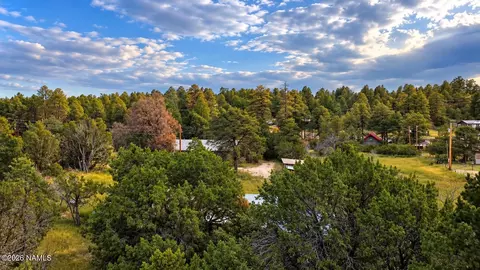 View/Area - 1895 Aspen Ln, Heber-overgaard, AZ 85298 photo 3 of 5