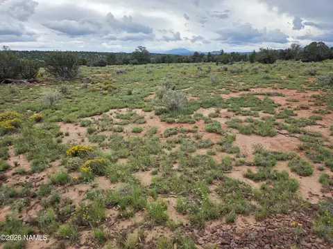Other - 6437 Bird Dog Cir, Williams, AZ 86046 photo 17 of 37