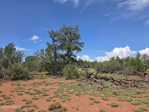Other - 6437 Bird Dog Cir, Williams, AZ 86046 photo 23 of 37