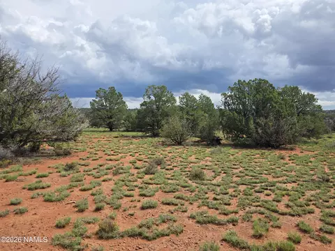 Other - 6437 Bird Dog Cir, Williams, AZ 86046 photo 25 of 37