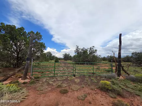 Other - 6437 Bird Dog Cir, Williams, AZ 86046 photo 37 of 37