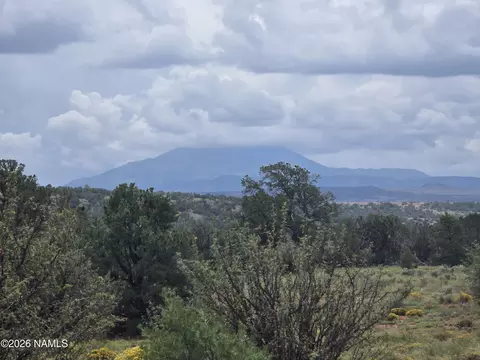 Other - 6437 Bird Dog Cir, Williams, AZ 86046 photo 22 of 37