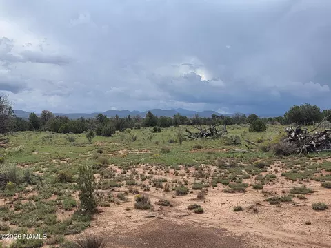 Other - 6437 Bird Dog Cir, Williams, AZ 86046 photo 21 of 37