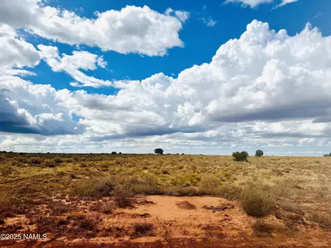 2505 E Antelope Vis, Williams, AZ 86046 photo 23