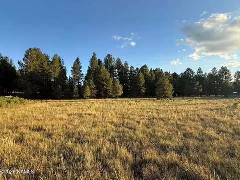 184 High Point Dr, Mormon Lake, AZ 86038