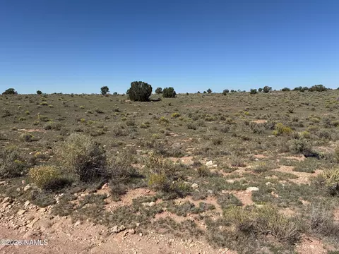 2607 E Valle Rd, Williams, AZ 86046 photo 5