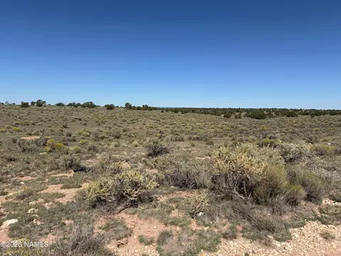2607 E Valle Rd, Williams, AZ 86046 photo 6
