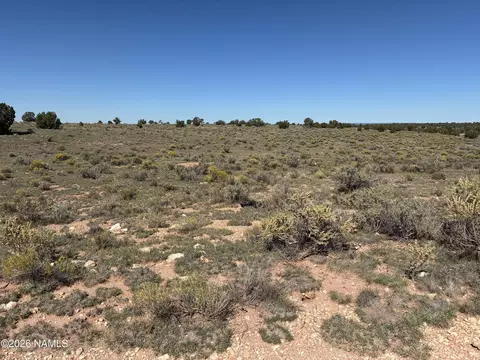 2607 E Valle Rd, Williams, AZ 86046 photo 4