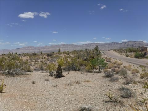 29535 N Patterson Ln, Meadview, AZ 86444