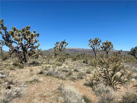 000 Quesnel Dr, Dolan Springs, AZ 86441