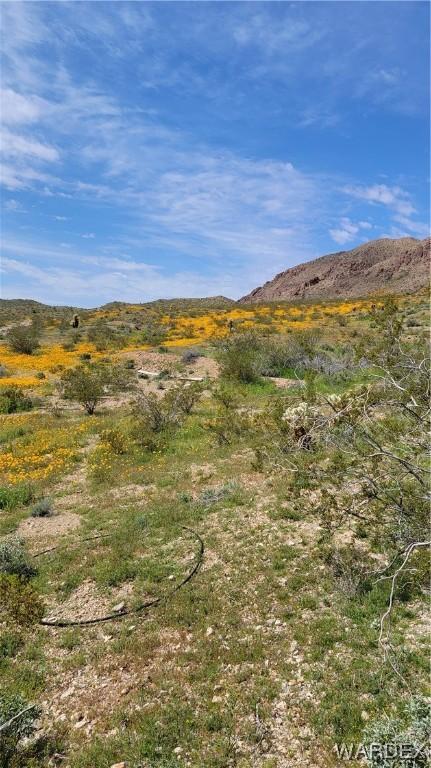 0 Tynes Gulch Rd, Mohave Valley, AZ 86440