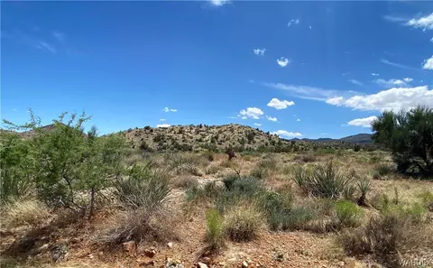 tbd N Stray Rd, Hackberry, AZ 86411 photo 3