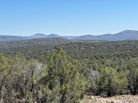 Lot 168 E Globe Willow Drive, Kingman, AZ 86401