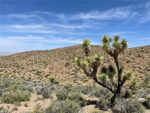 0 N Salt Springs Rd, White Hills, AZ 86445