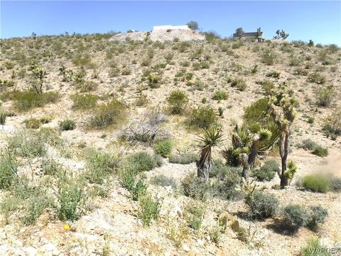 1985 W Guardian Dr, Meadview, AZ 86444