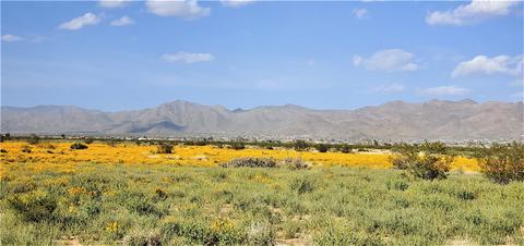 Tbd W Redwall Drive, Golden Valley, AZ 86413