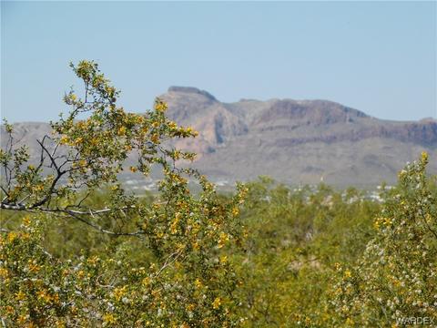 210 S Teddy Roosevelt Rd # b, Golden Valley, AZ 86413