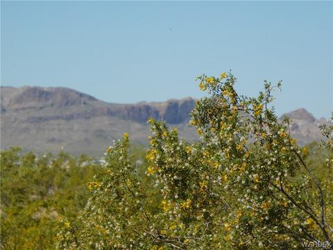210 S Teddy Roosevelt Rd # a, Golden Valley, AZ 86413