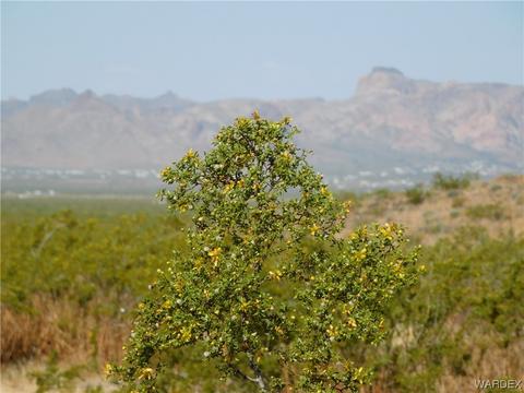 183 Bacobi Road, Golden Valley, AZ 86413