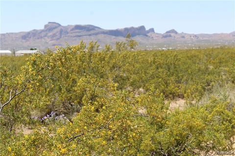000 Horse Mesa Rd, Golden Valley, AZ 86413