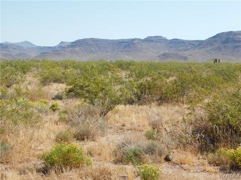 Lot 9 W Hualapai Drive, Golden Valley, AZ 86413