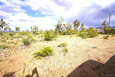 000 N Ravena Dr, Dolan Springs, AZ 86441