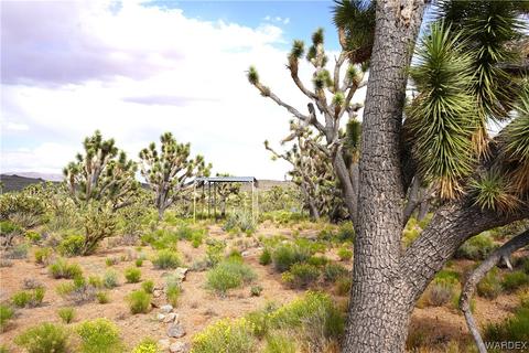 000 N Spur Dr, Dolan Springs, AZ 86441