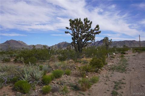000 N Nolan Dr, Dolan Springs, AZ 86441