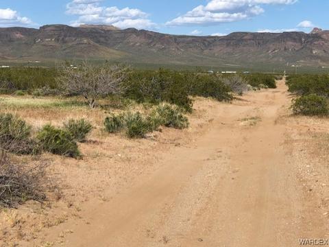 000 W Unkar Dr, Golden Valley, AZ 86413