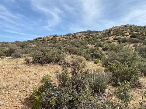 000 E Spring Valley Dr, Hackberry, AZ 86411 photo 5