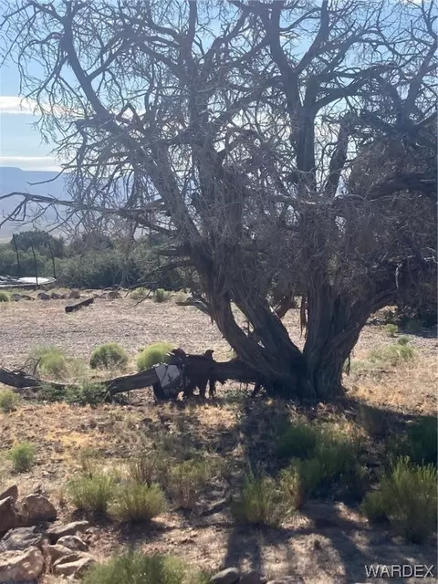 000 Running Brk, Hackberry, AZ 86411 photo 7
