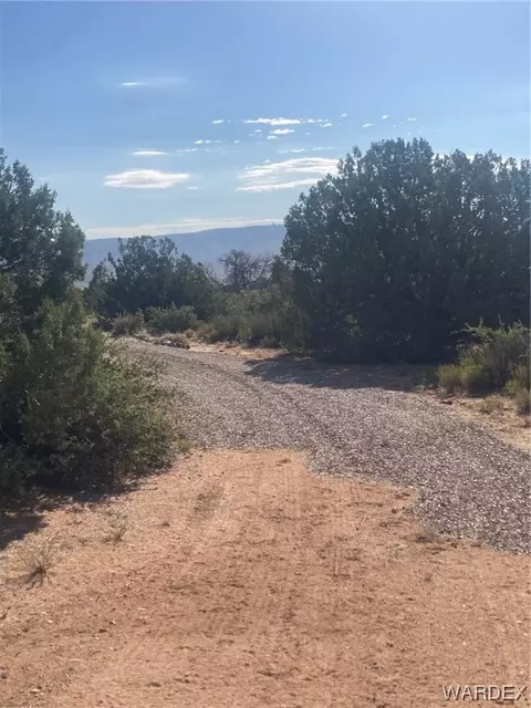 000 Running Brk, Hackberry, AZ 86411 photo 3