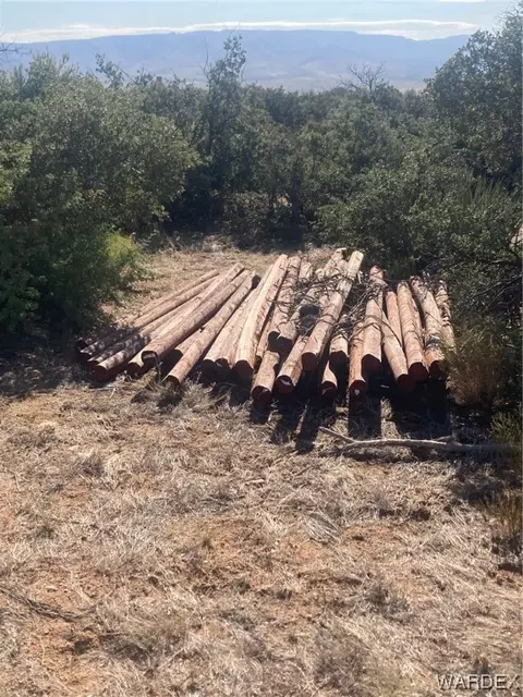 000 Running Brk, Hackberry, AZ 86411 photo 6