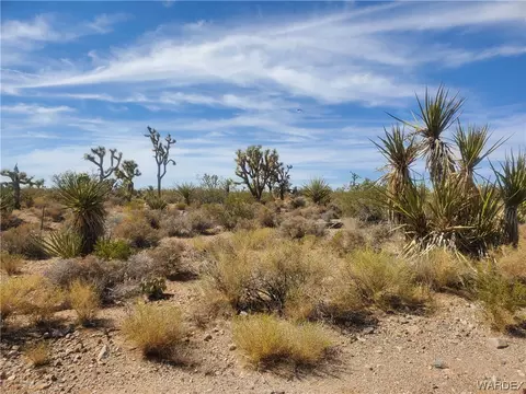 8131 W Santa Cruz Dr, White Hills, AZ 86445