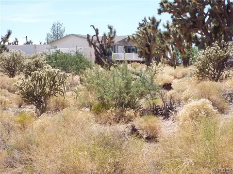 18597 N Spur Dr, Dolan Springs, AZ 86441