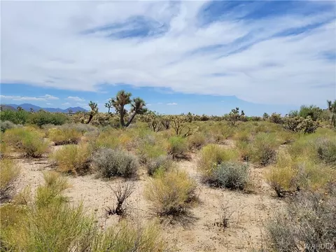 11422 S Dennis Rd, Yucca, AZ 86438
